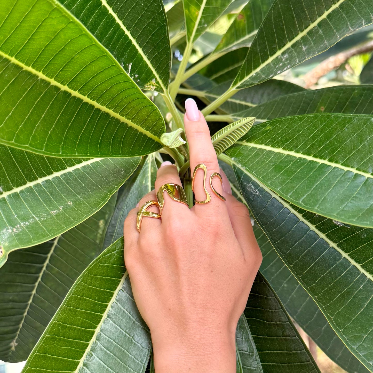 AURA